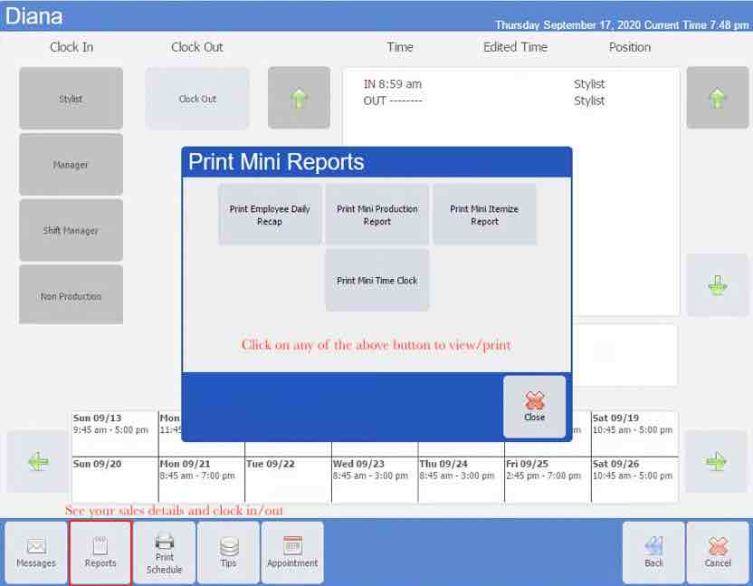 View Print Reports